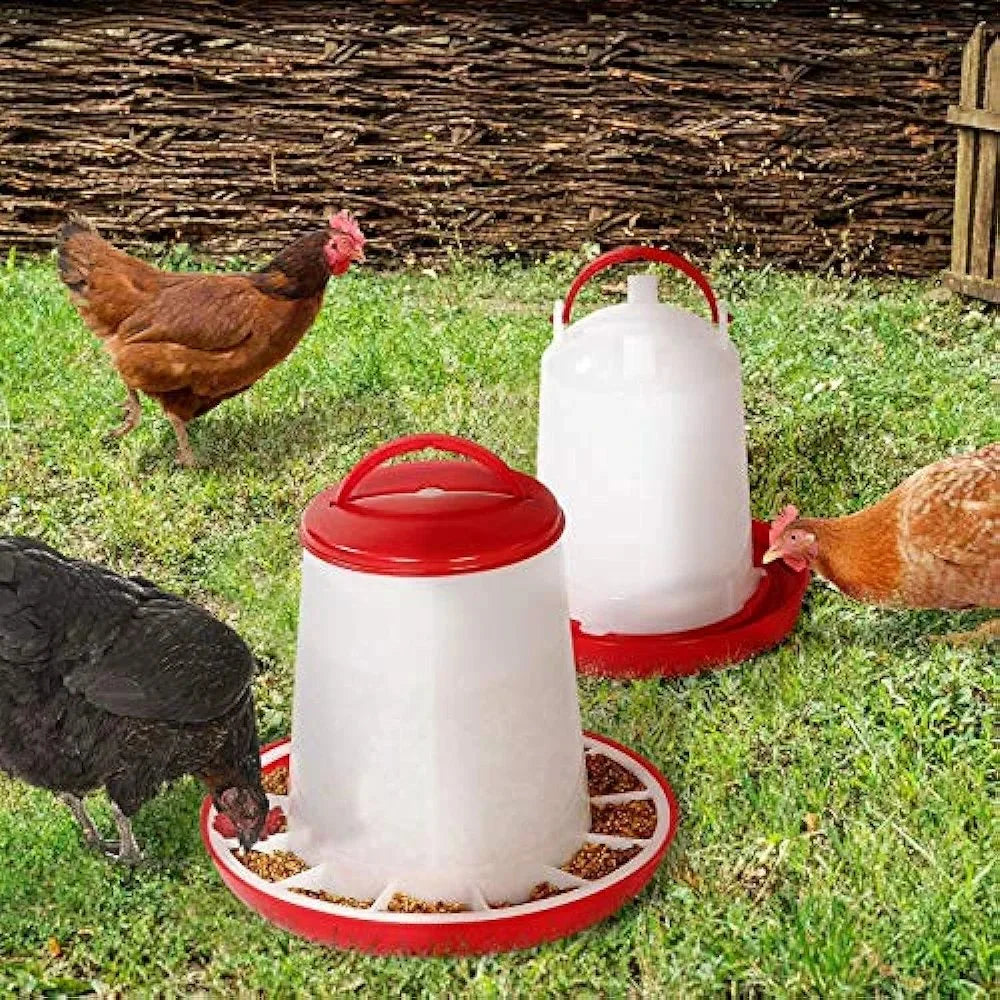Aliment Pondeuses Complet en Miettes (25 kg)