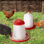 Aliment Pondeuses Complet en Miettes (25 kg)